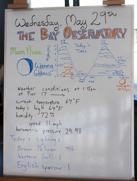 321-9706 The Bay Observatory Exploratorium.jpg